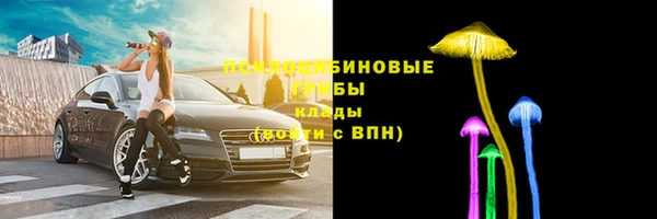 хмурый Бородино
