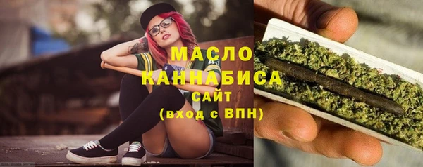 хмурый Бородино